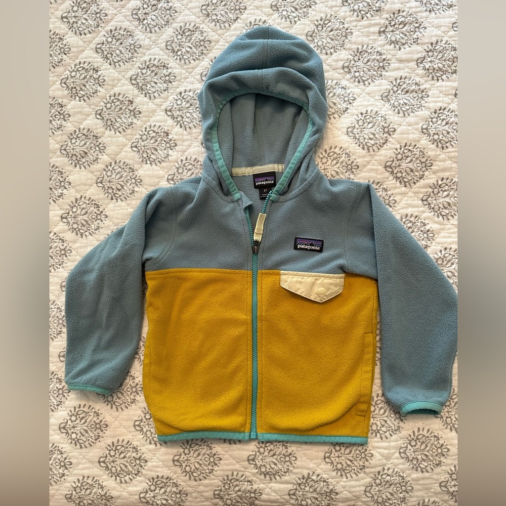 Toddler Patagonia Full Zip Fleece Hoodie